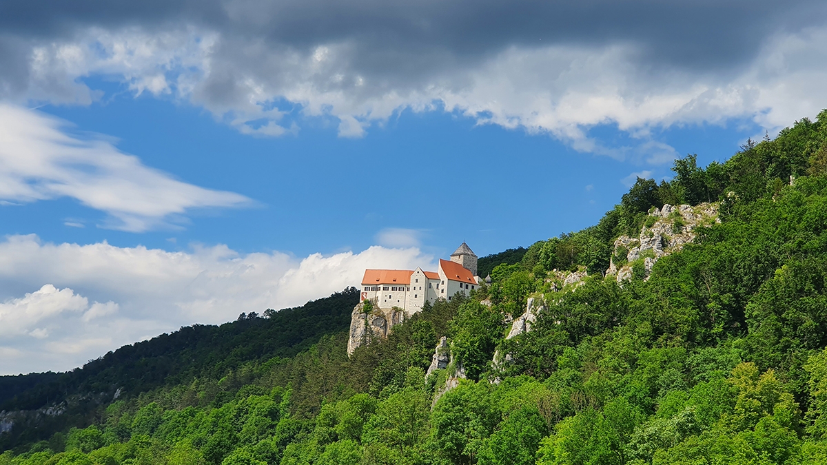 Rozw&oacute;j CCCXXVI