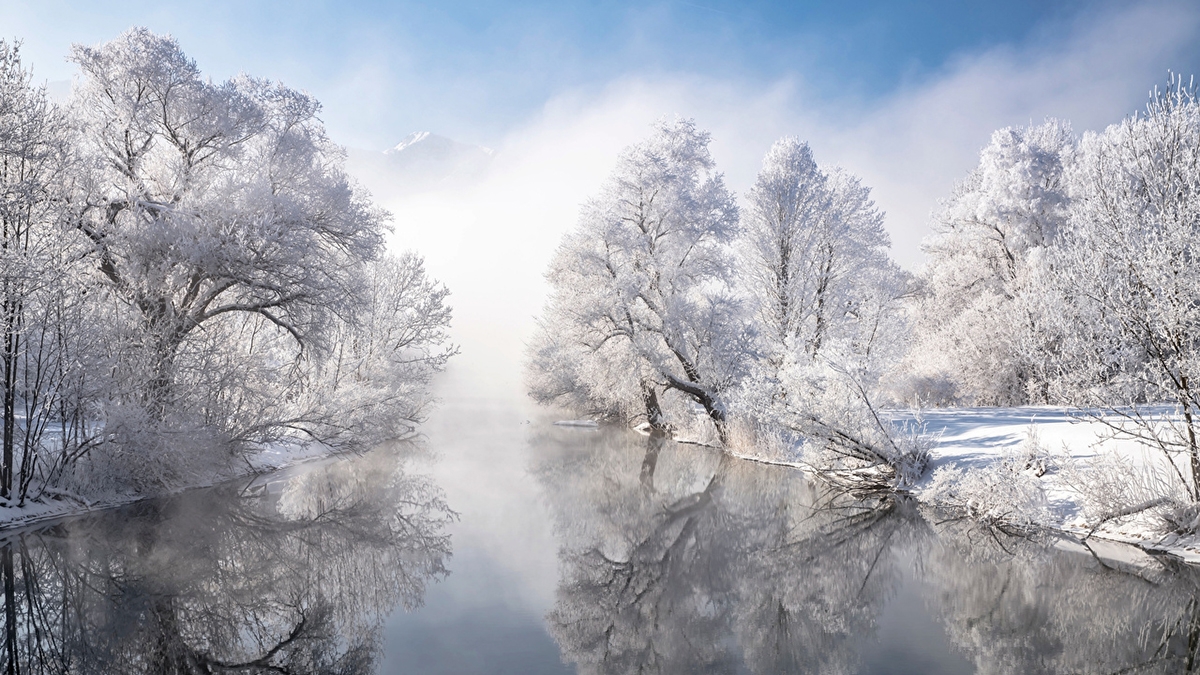 Rozw&oacute;j CCXXXII