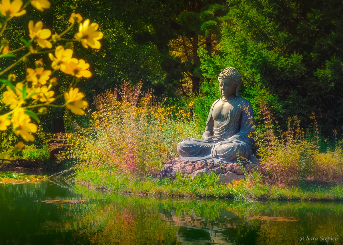 Rozw&oacute;j CDXCIV