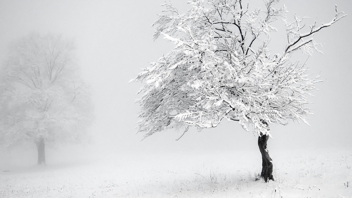 Rozw&oacute;j XXXIII