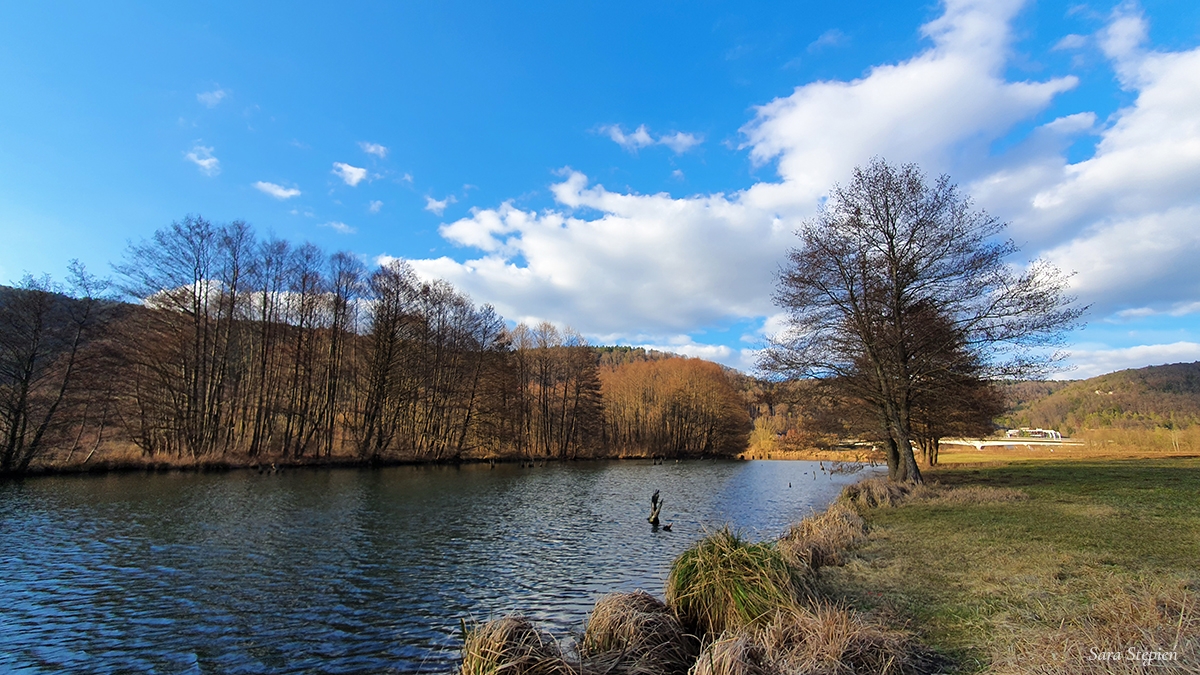 Rozw&oacute;j MLXXXVI