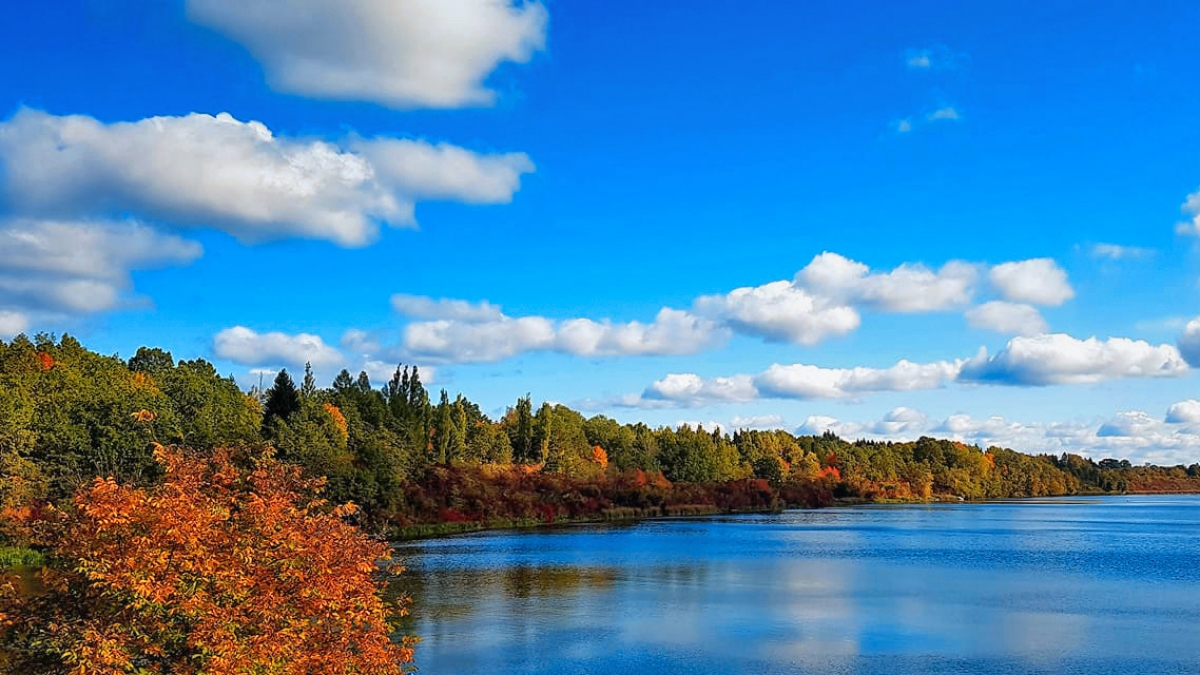 Rozw&oacute;j MCCCXXIV