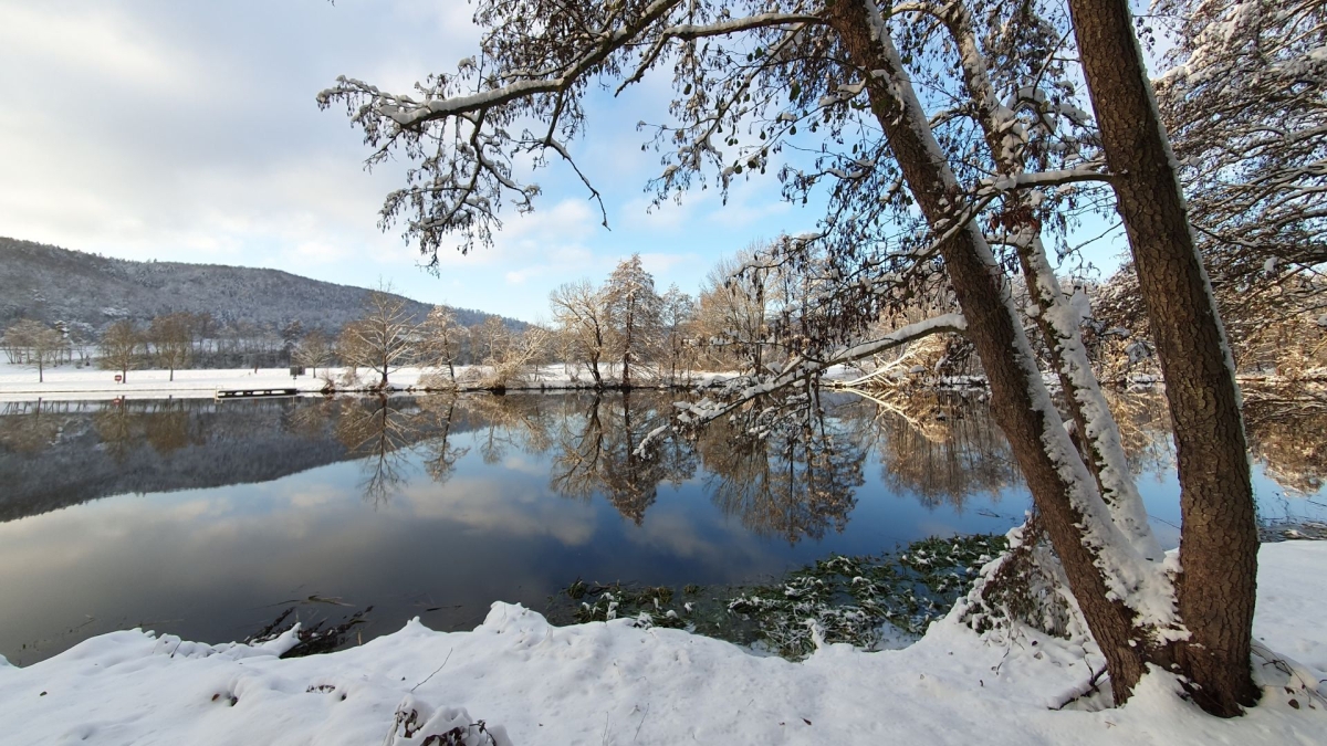 Rozw&oacute;j MDXLIX