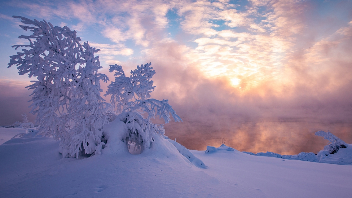 Rozw&oacute;j MCCCXXXII