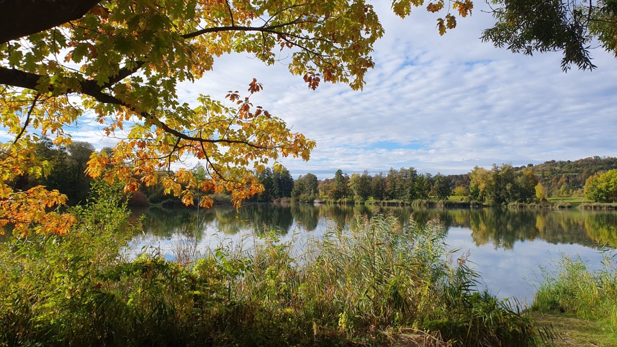 Rozw&oacute;j MDXXXIV