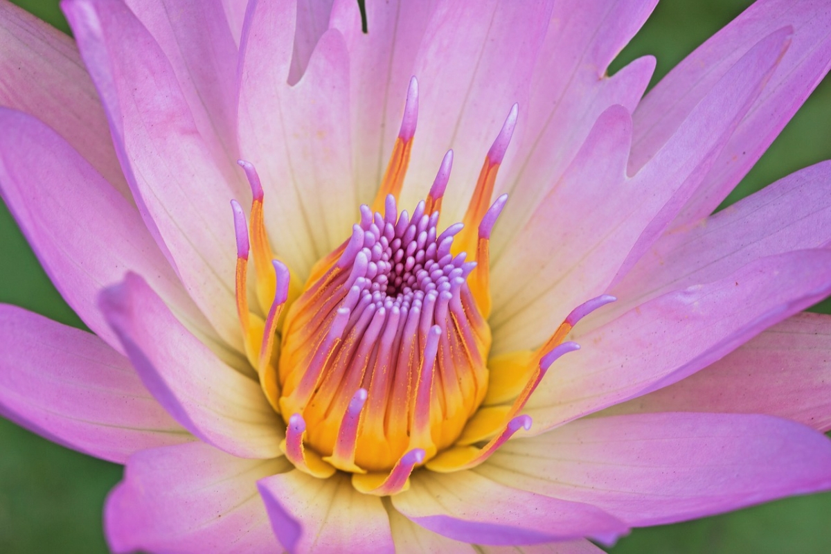 Rozw&oacute;j CCCLXIV