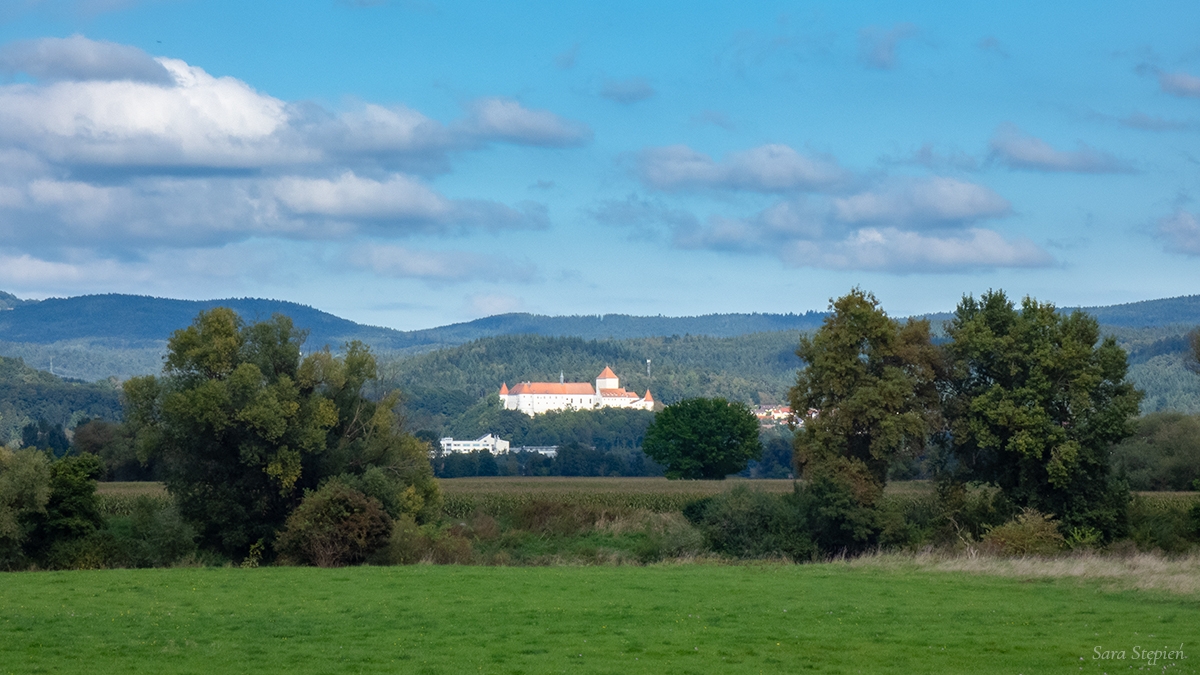 Rozw&oacute;j CXLVIII