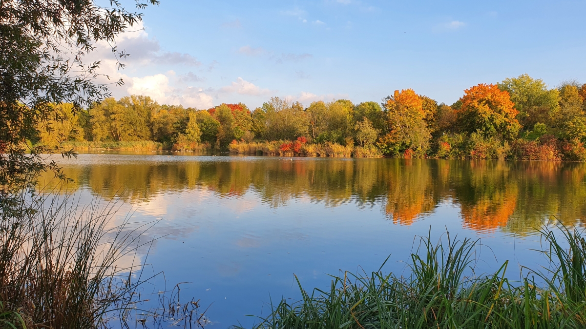 Rozw&oacute;j MDXXXI