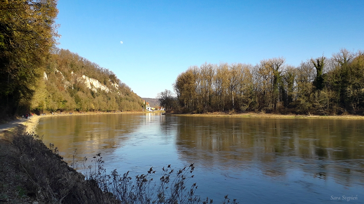 Rozw&oacute;j MLXXXIII