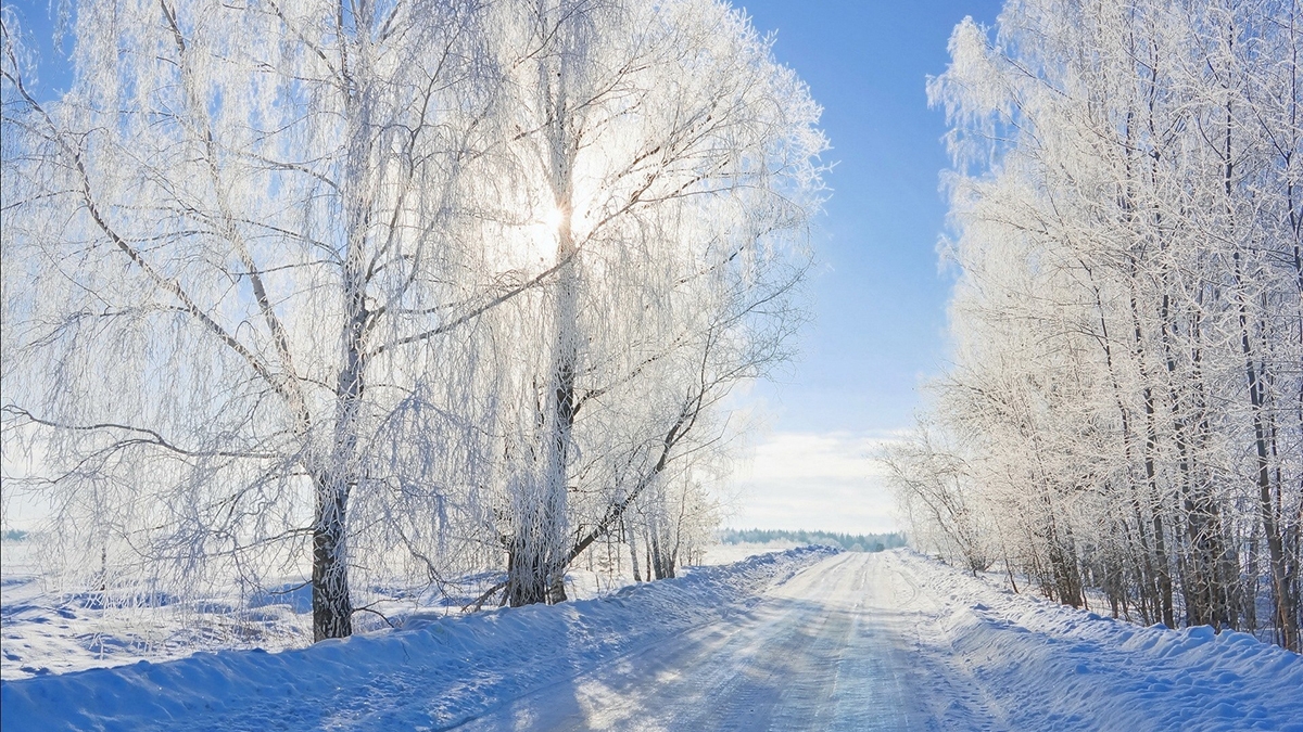 Rozw&oacute;j CCXXXI