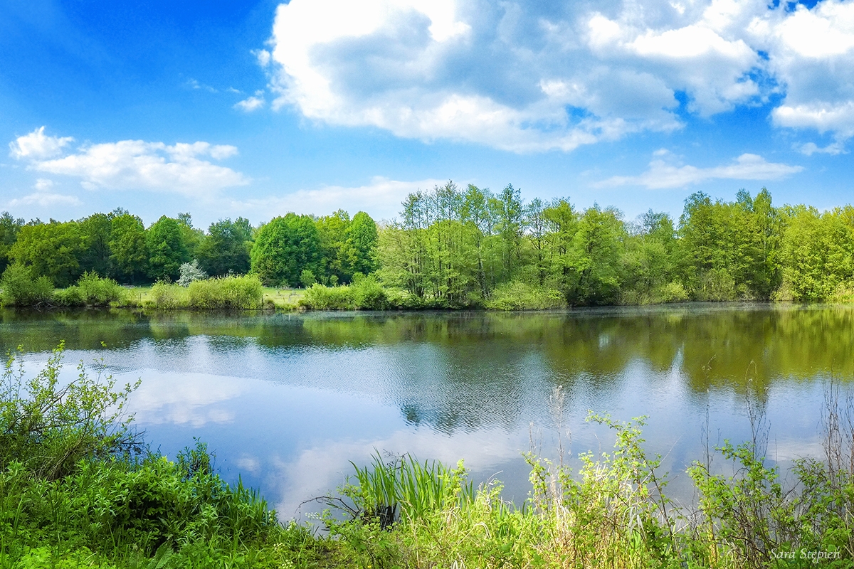 Rozw&oacute;j DCCXXVIII