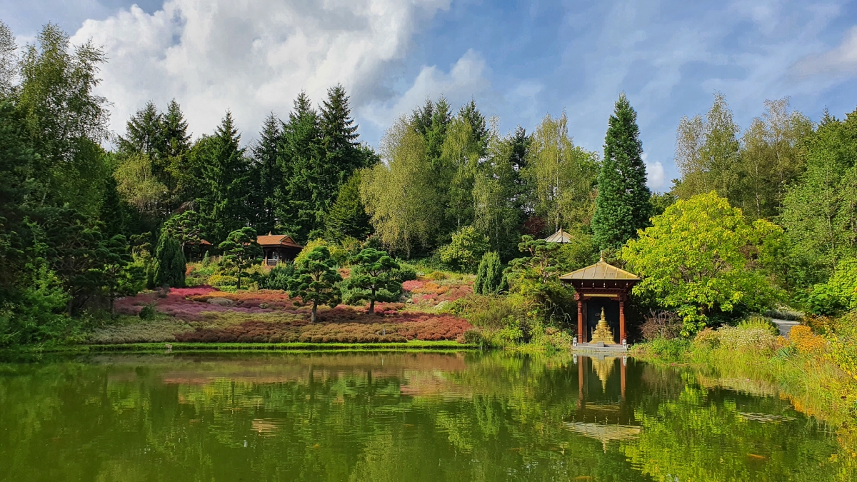 Rozw&oacute;j MCCCIX