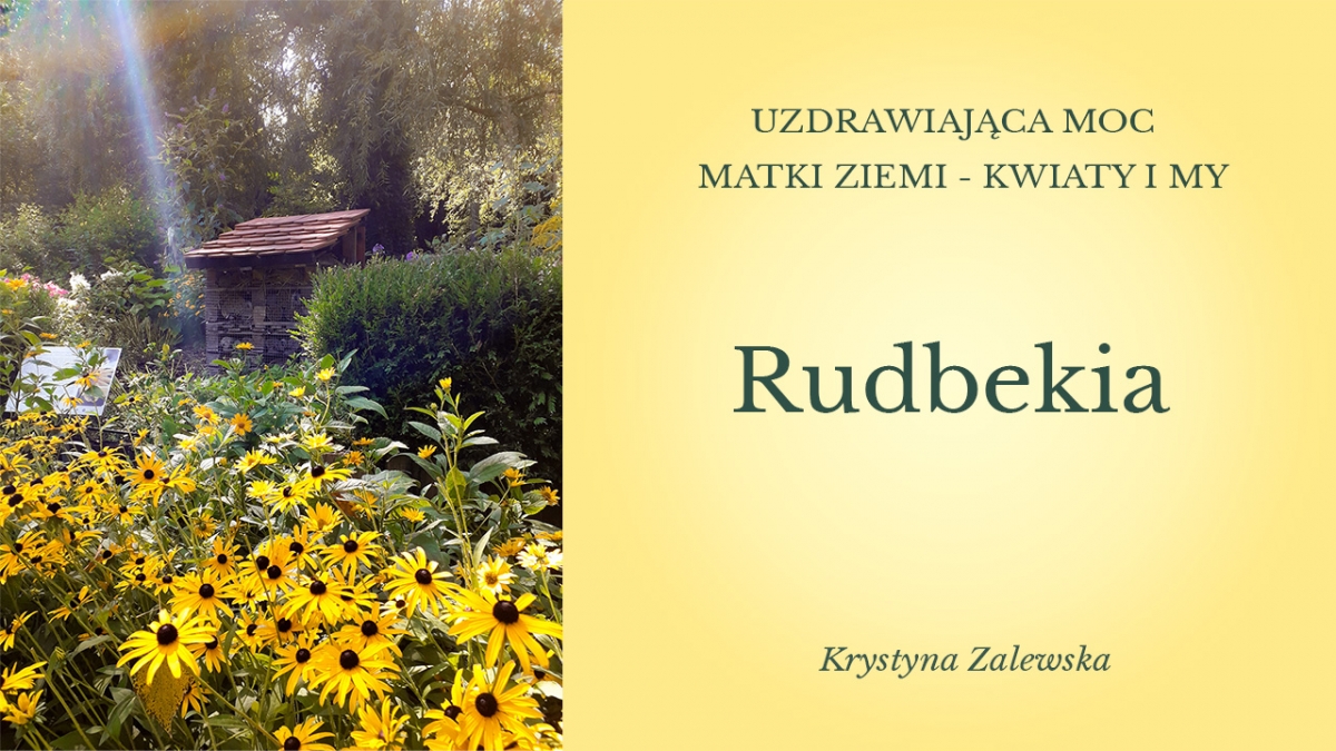 Uzdrawiająca moc Matki Ziemi - Kwiaty i my V