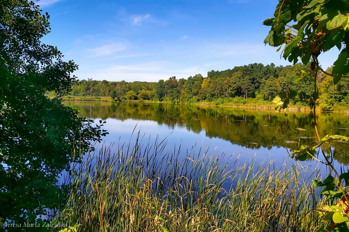 Rozw&oacute;j DCCLVI