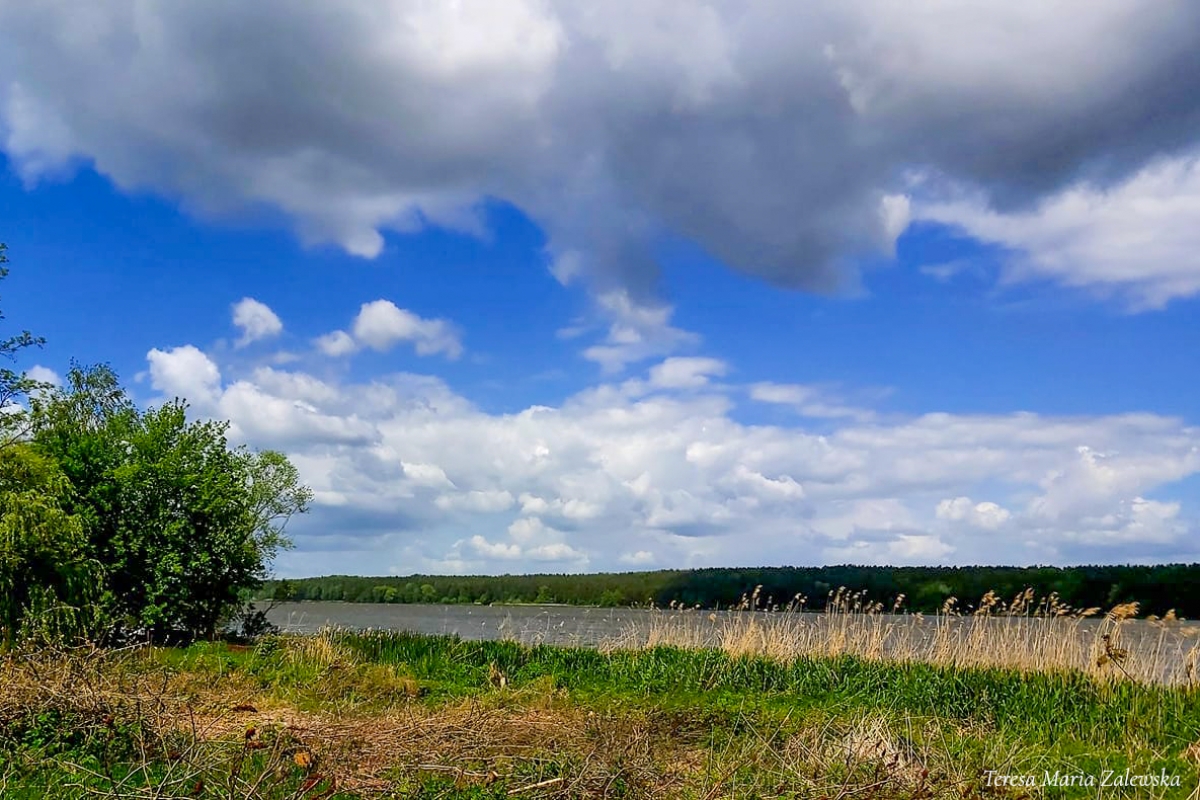 Rozw&oacute;j DCCXXII