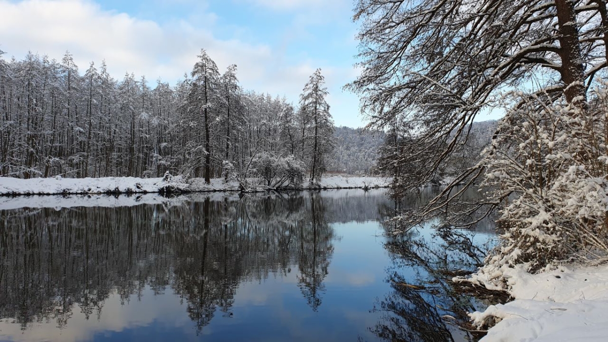 Rozw&oacute;j MCCCXCIX