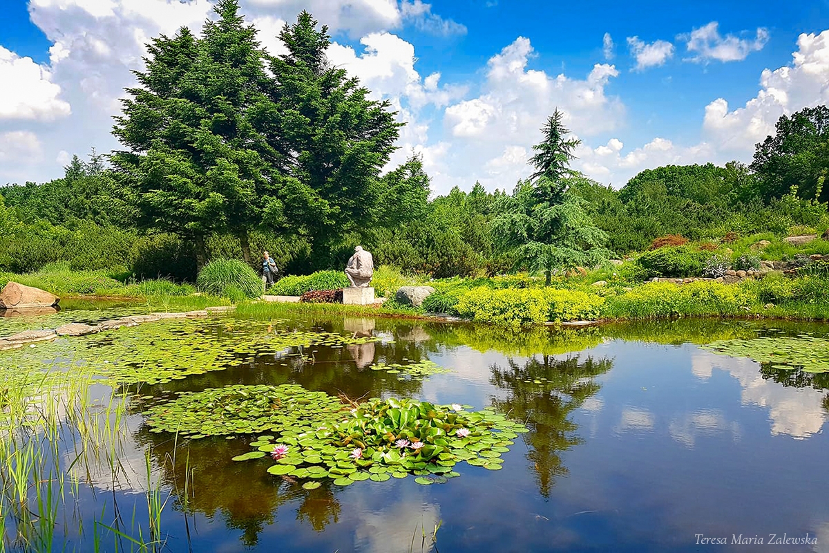 Rozw&oacute;j DCCXXV