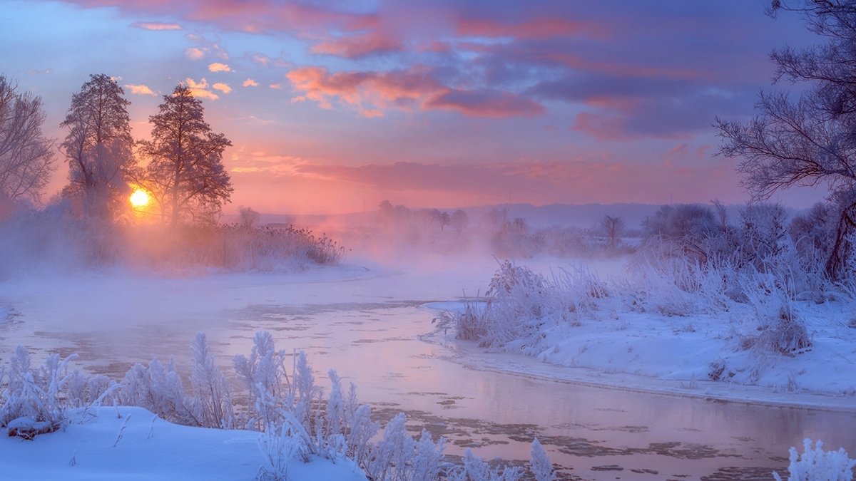 Rozw&oacute;j CCXXXIII