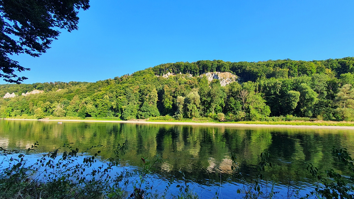 Rozw&oacute;j MCCLXXXIV