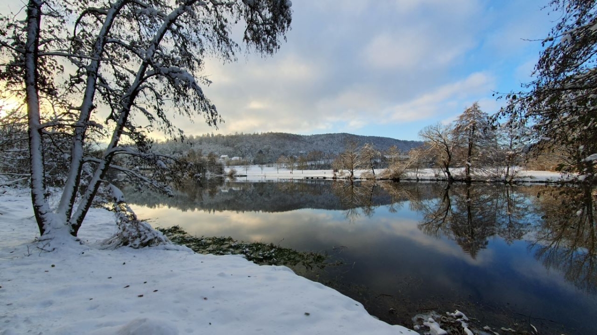 Rozw&oacute;j MCCCXCVIII