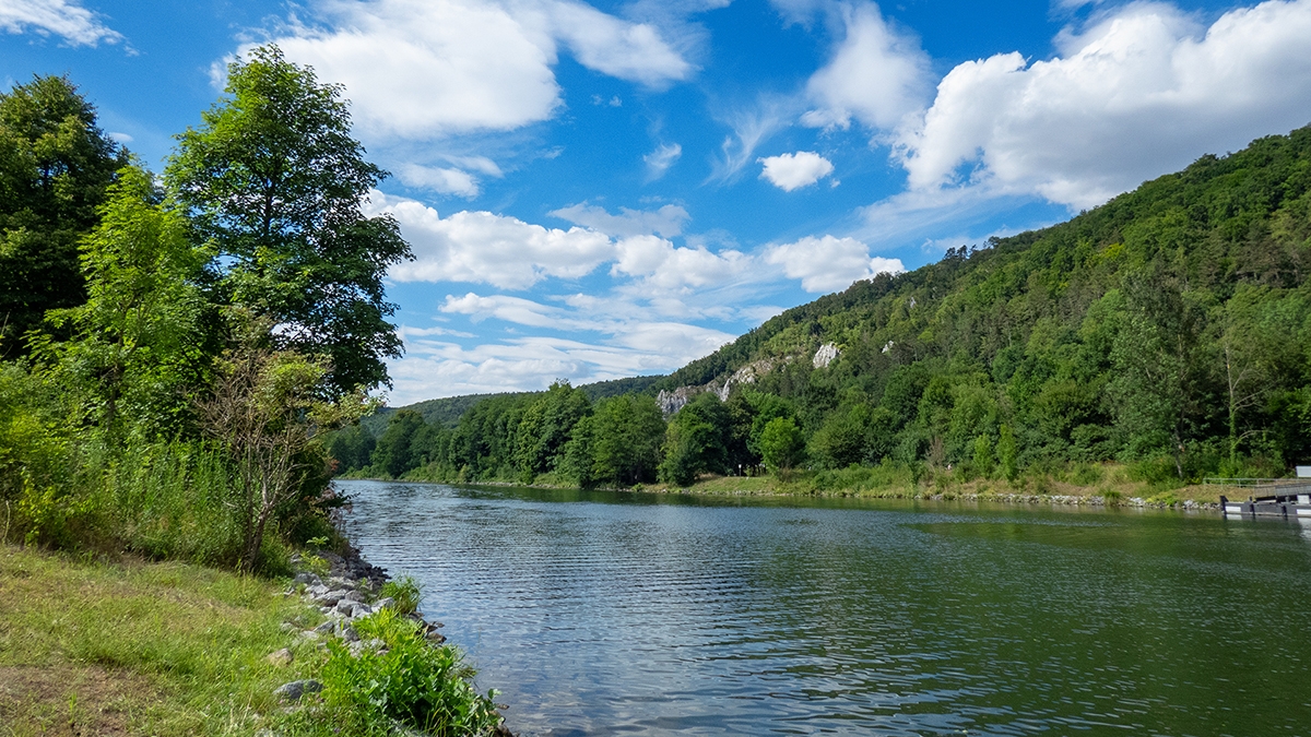 Rozw&oacute;j MCCLXVIII