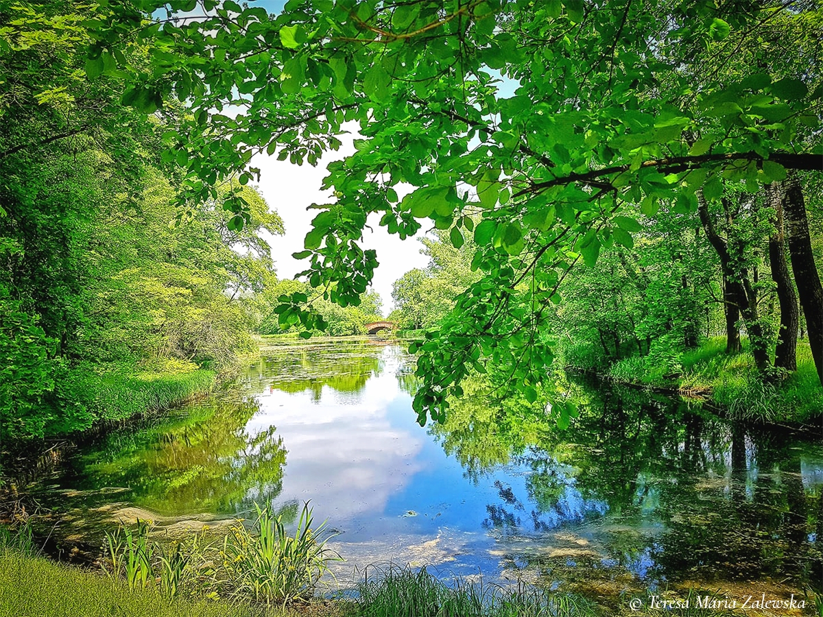 Rozw&oacute;j DLXXXVII