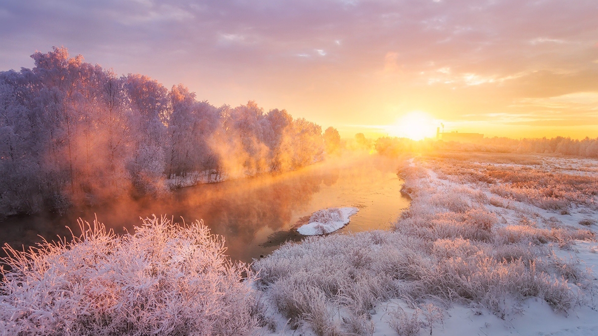 Rozw&oacute;j CCXXXIV