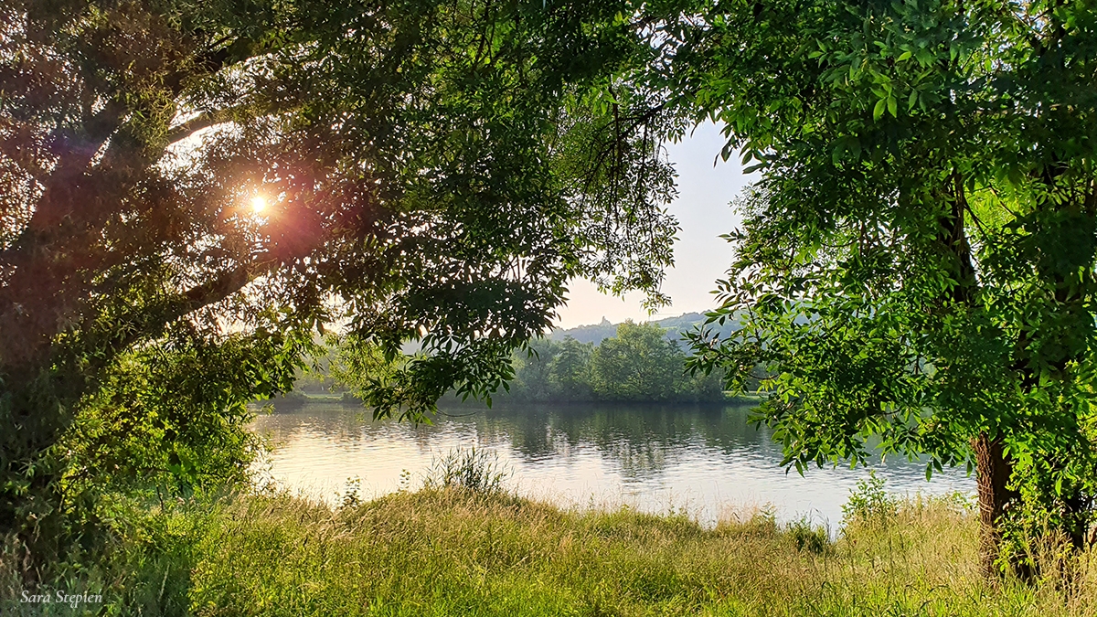 Rozw&oacute;j MCCXXXIX