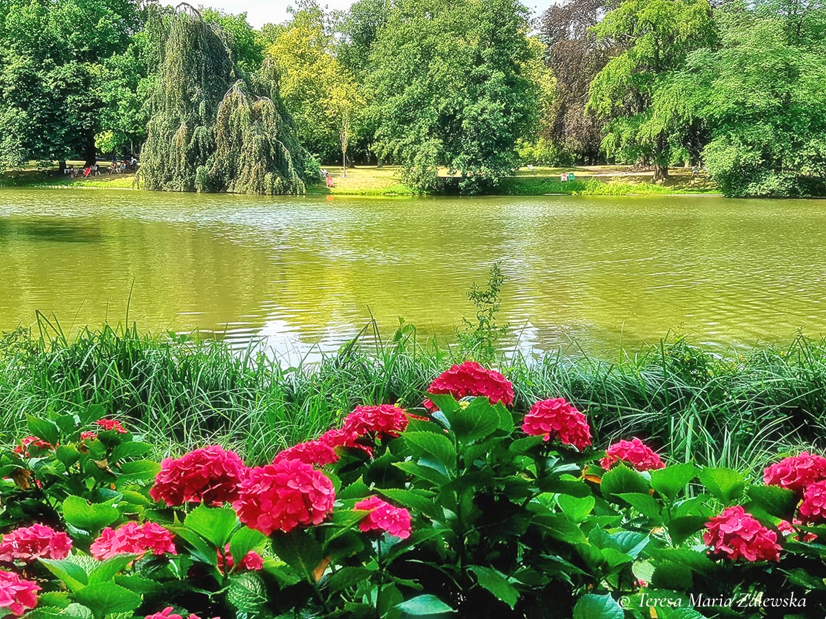 Rozw&oacute;j DLXXXVIII