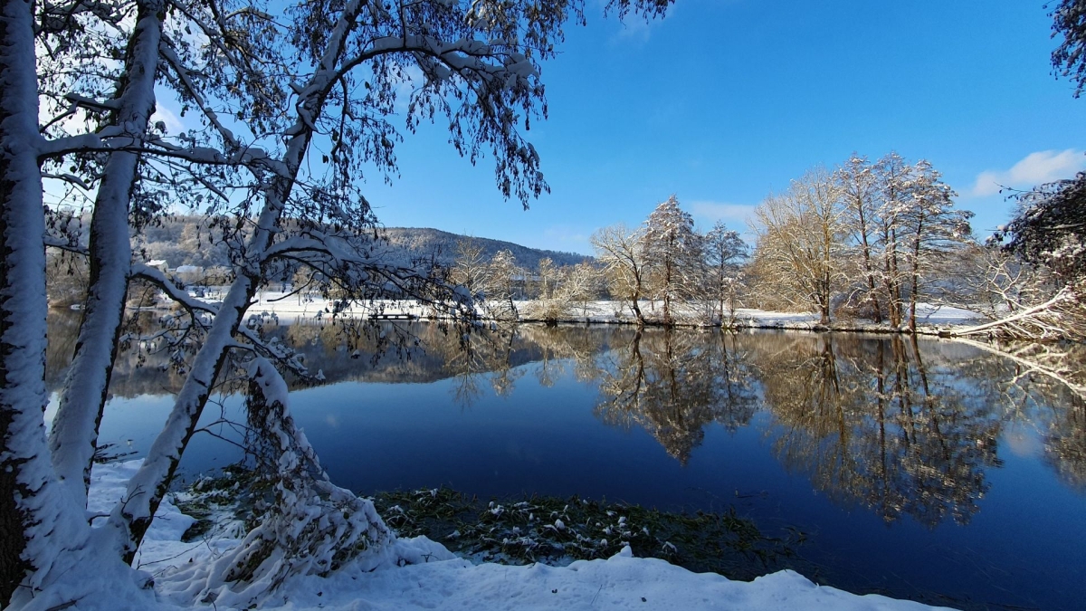 Rozw&oacute;j MDXLIII