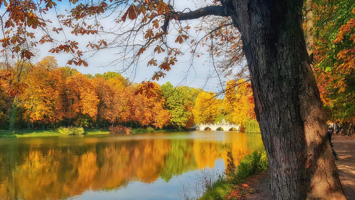 Rozw&oacute;j MCCCXXII