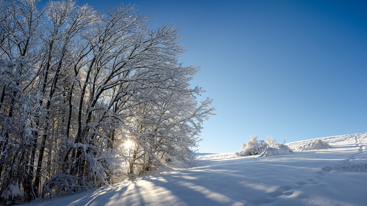 Rozw&oacute;j MLXIII