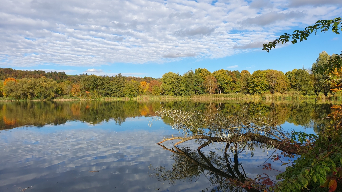 Rozw&oacute;j MDXXXIII