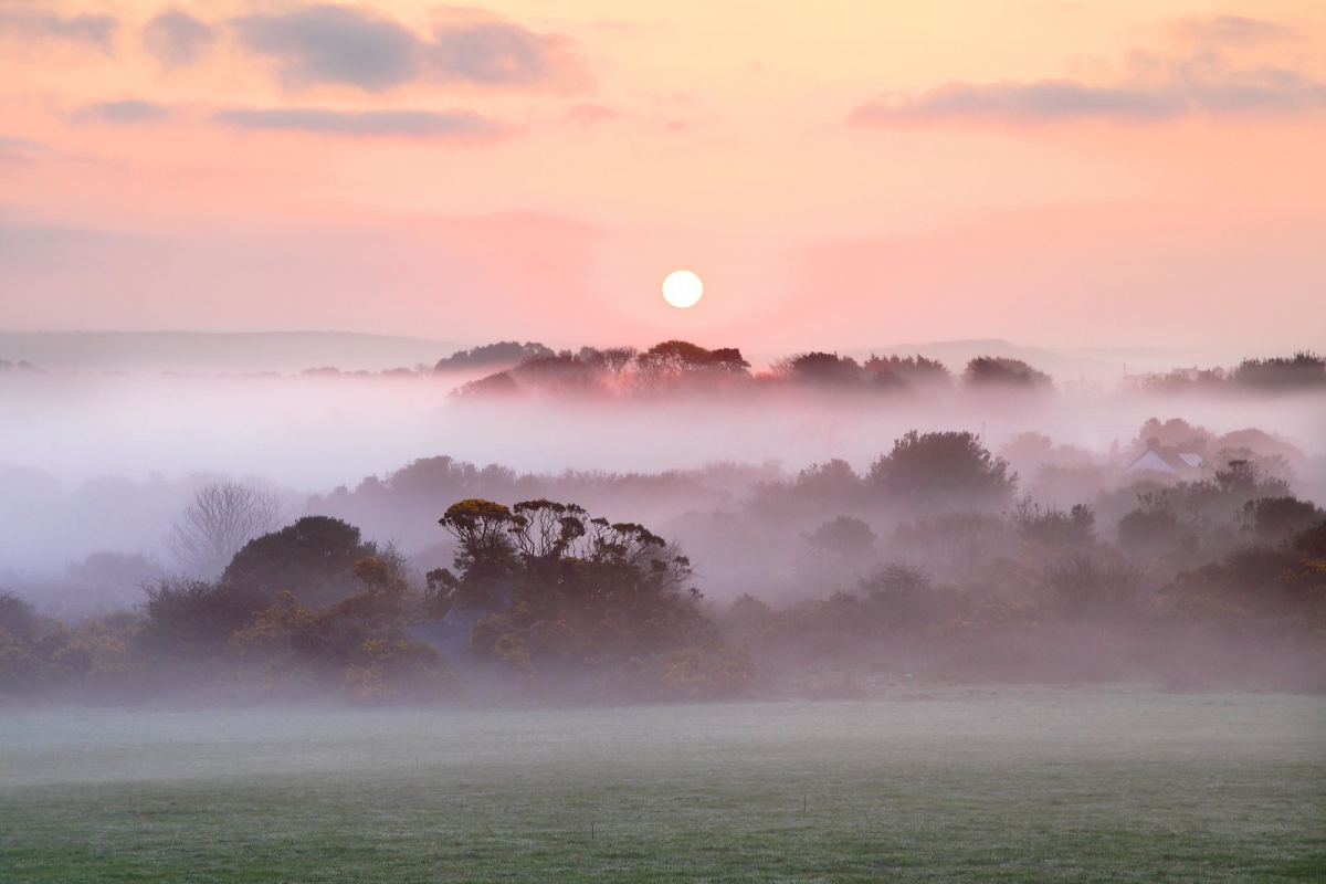 Rozw&oacute;j DCCCXIX