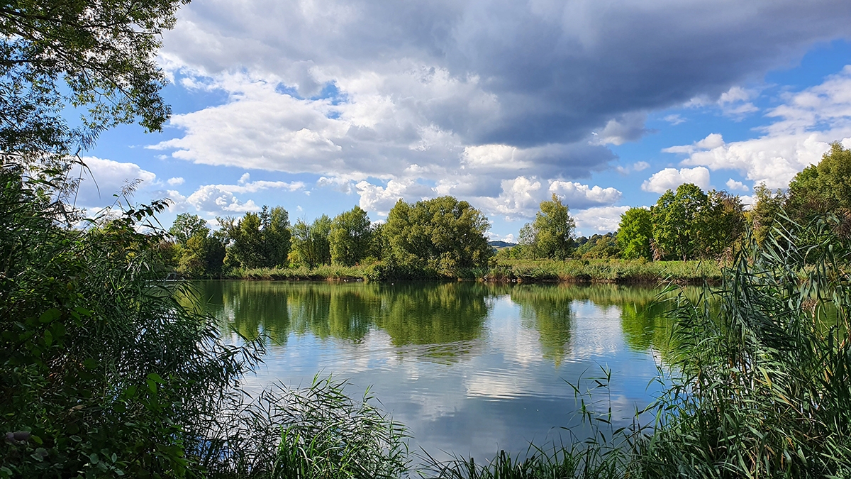 Rozw&oacute;j MCCXCVII