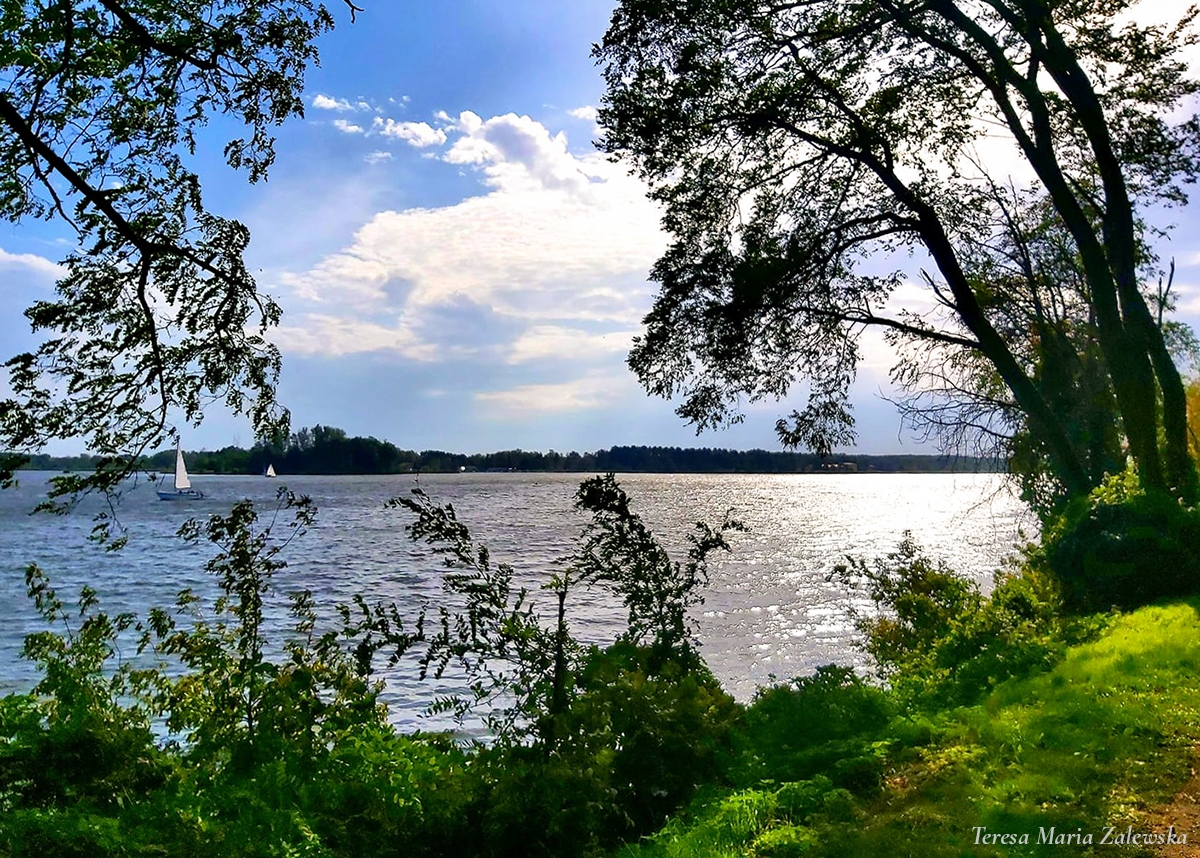 Rozw&oacute;j DCCCIII