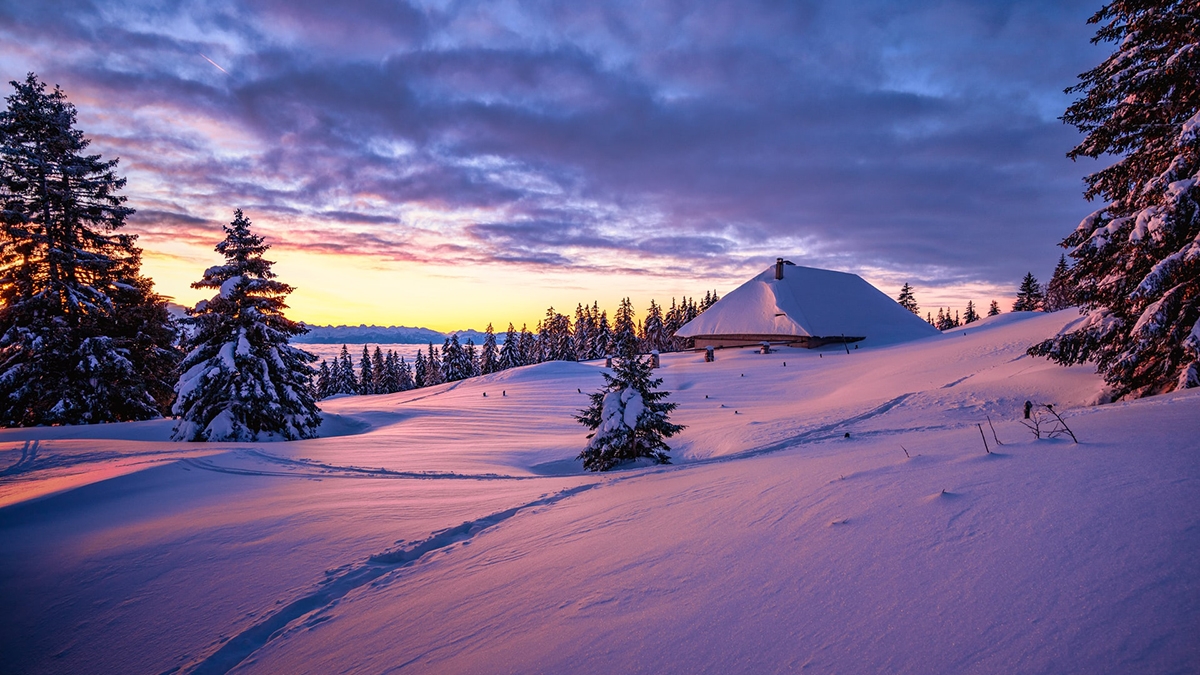 Rozw&oacute;j MLXVII