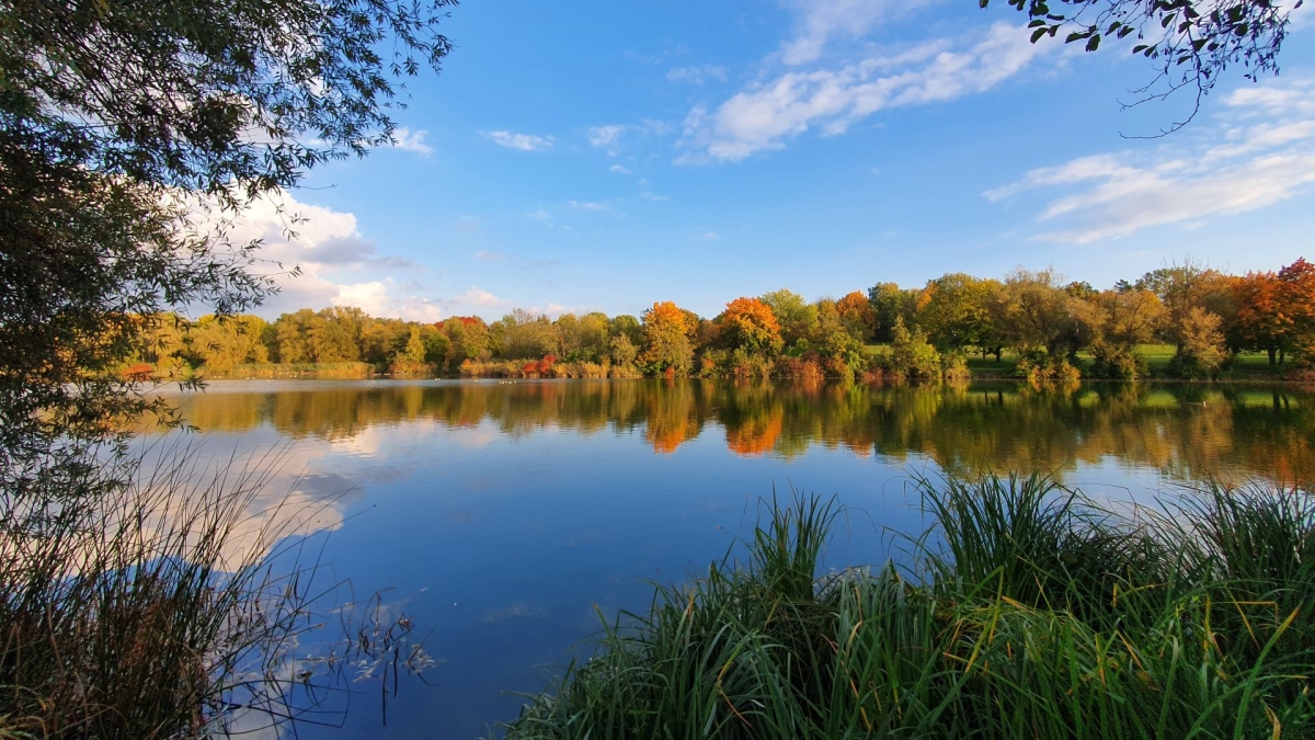 Rozw&oacute;j MDXXXVII